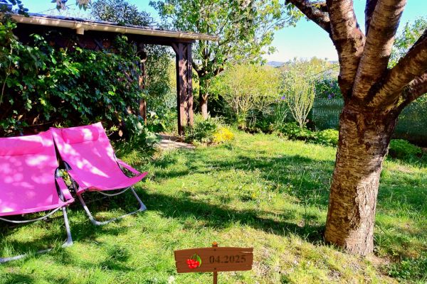 jardin-2F620B329-FCBC-FAD6-C97D-40BAAF5FAD2B.jpg